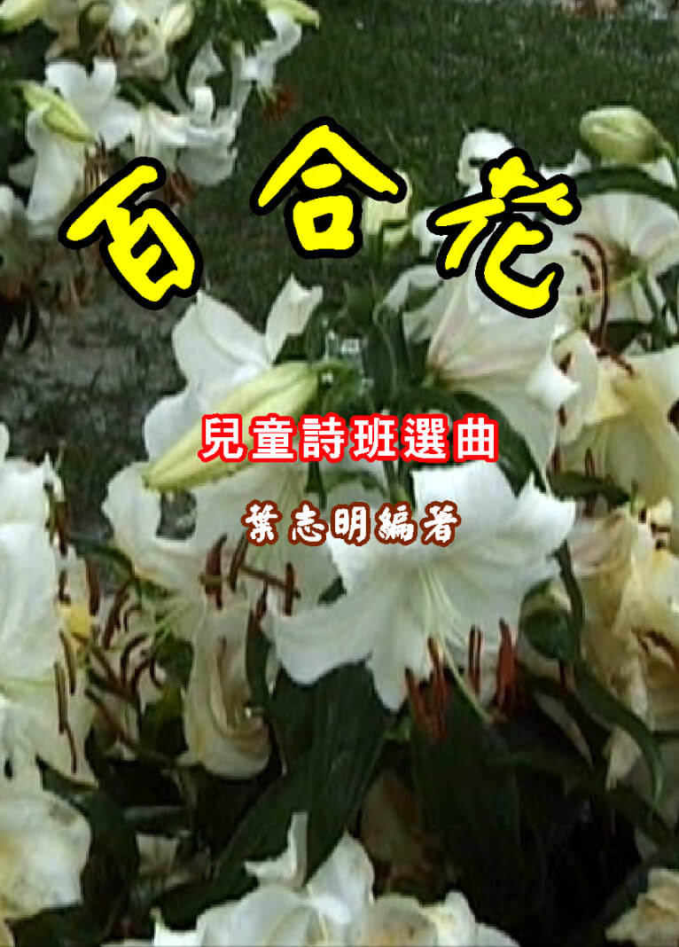 Lily 百合花 繁體版