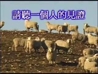 144 The Lord, My Shepherd Is