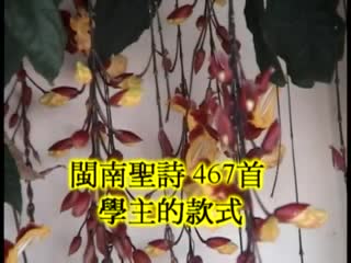 467 學主的款式