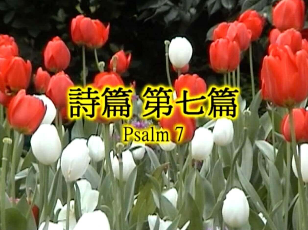 Psalm 7
