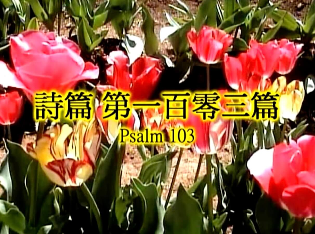 Psalm 103