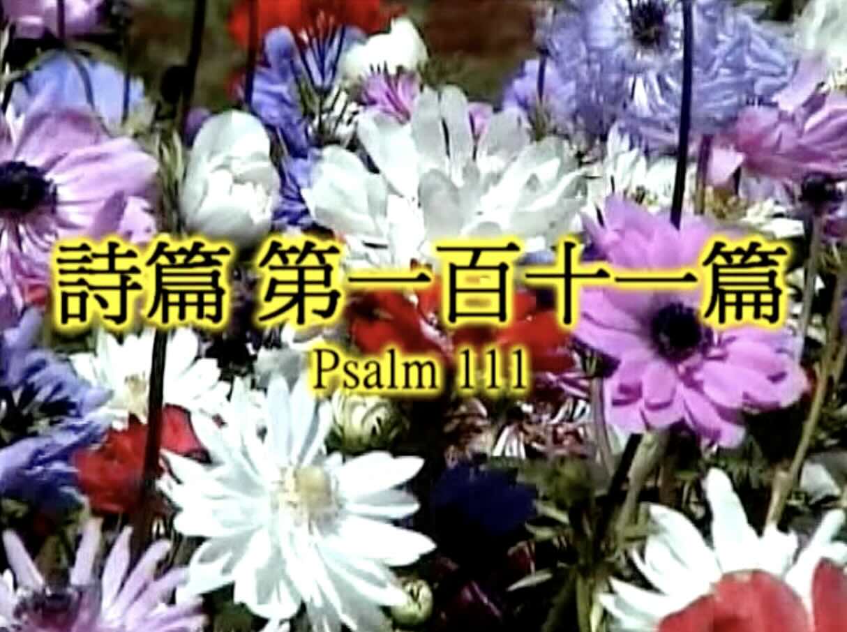 Psalm 111
