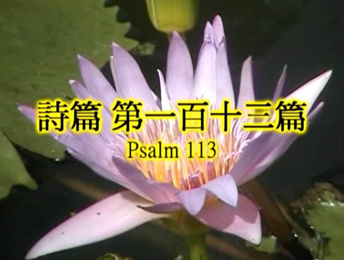 Psalm 113