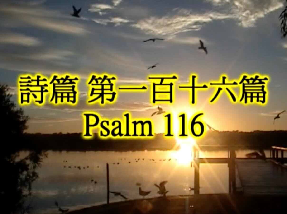 Psalm 116