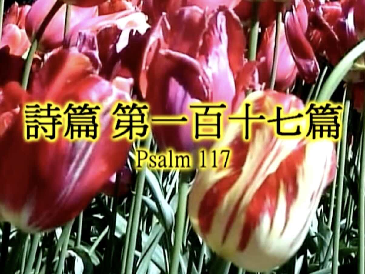 Psalm 117