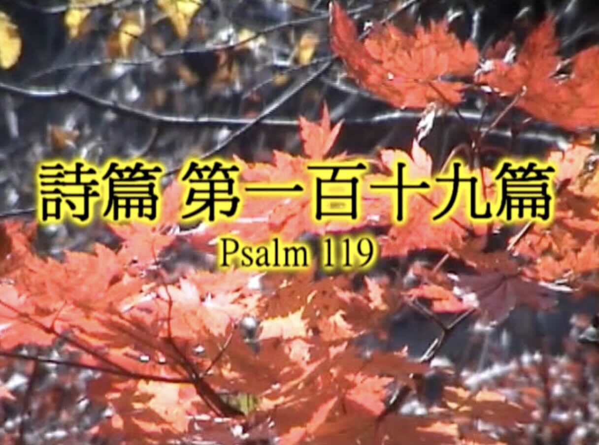 Psalm 119