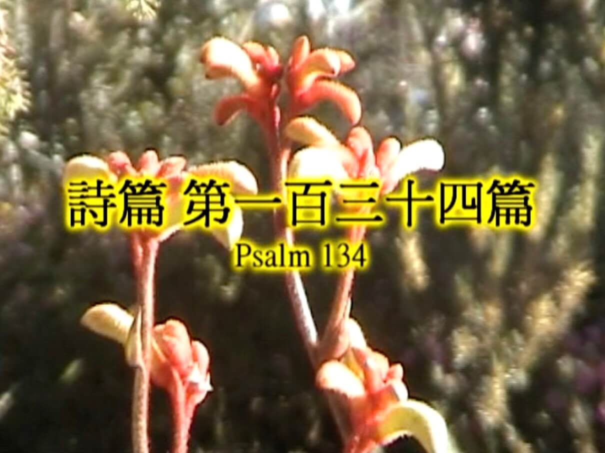 Psalm 134