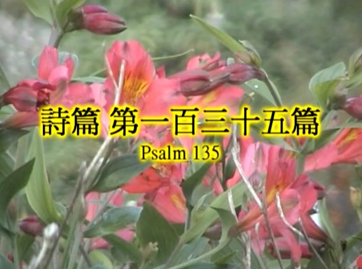 Psalm 135