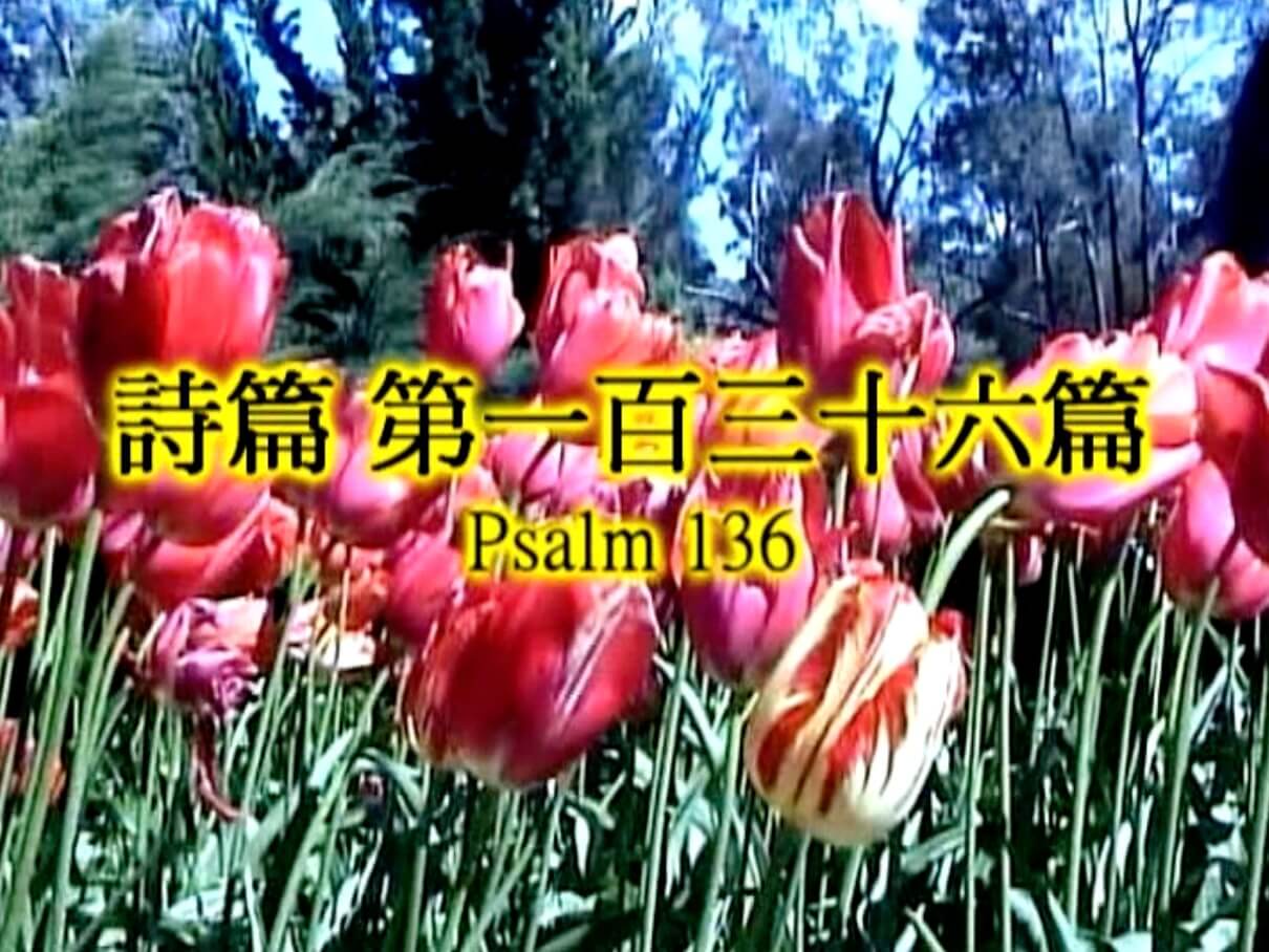 Psalm 136
