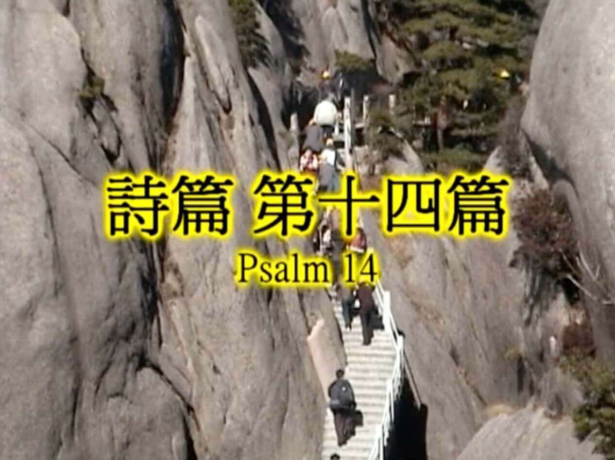 Psalm 14