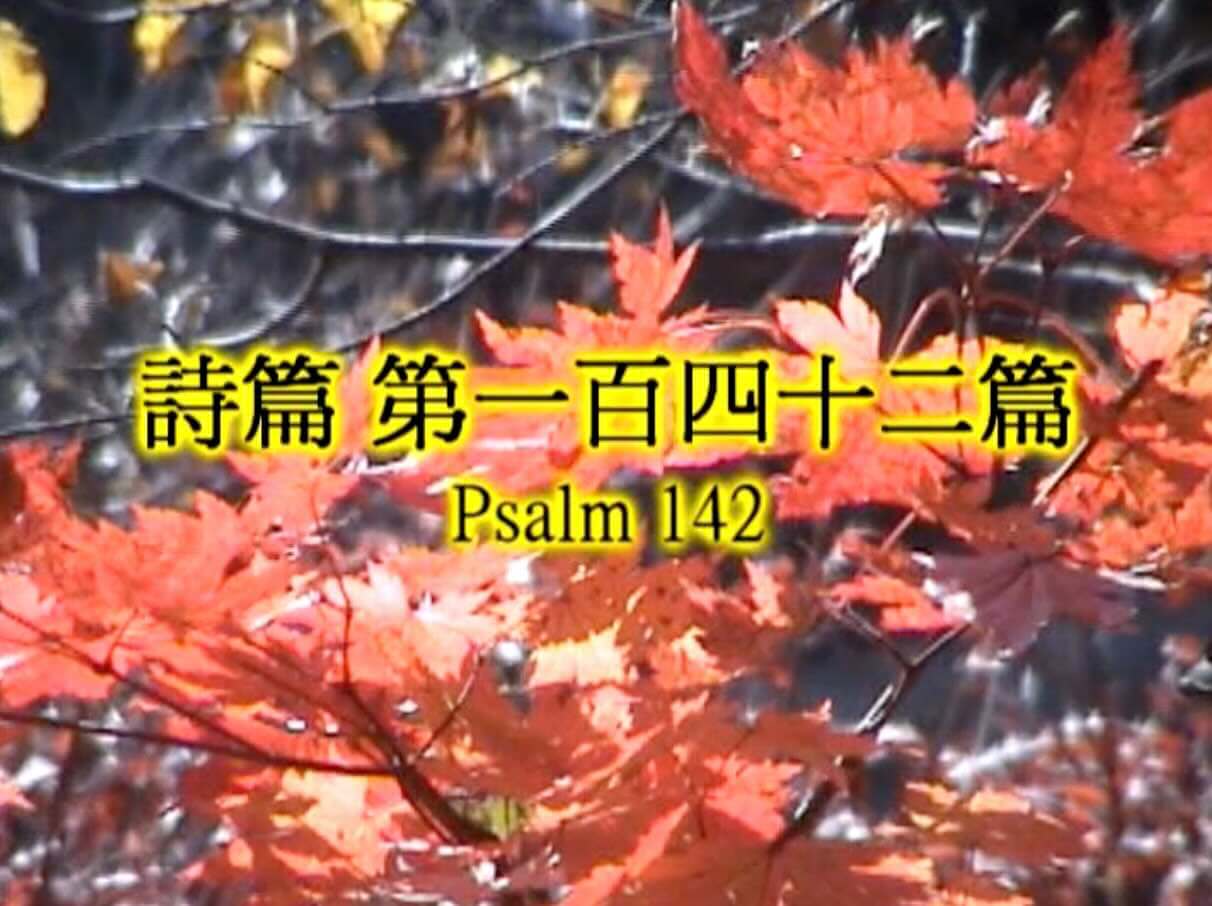 Psalm 142