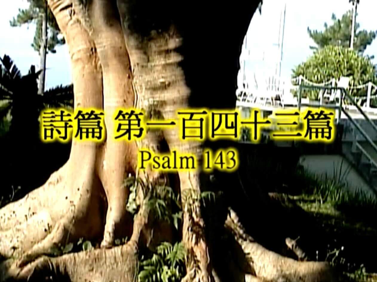 Psalm 143