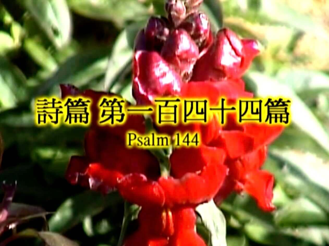 Psalm 144