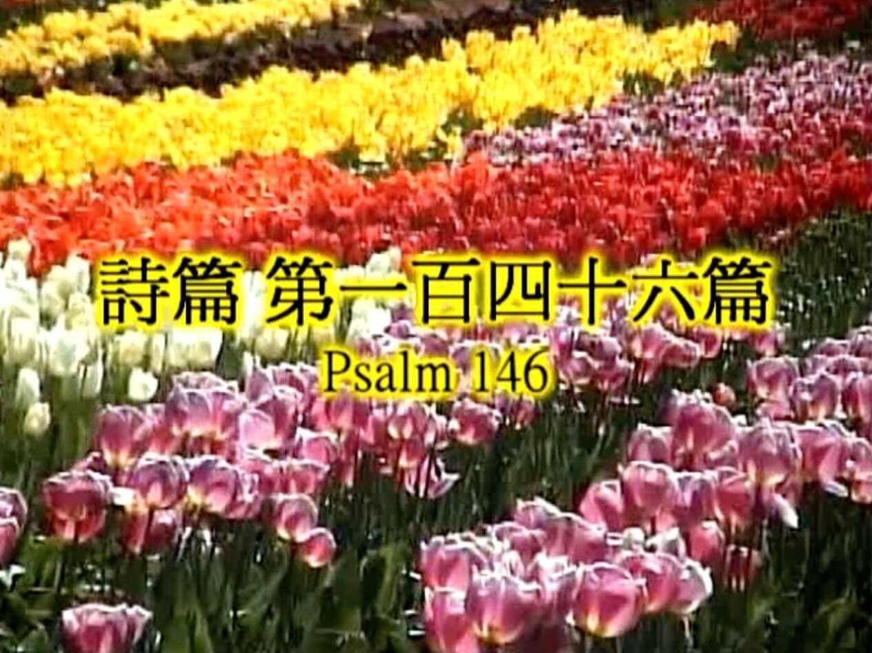 Psalm 146