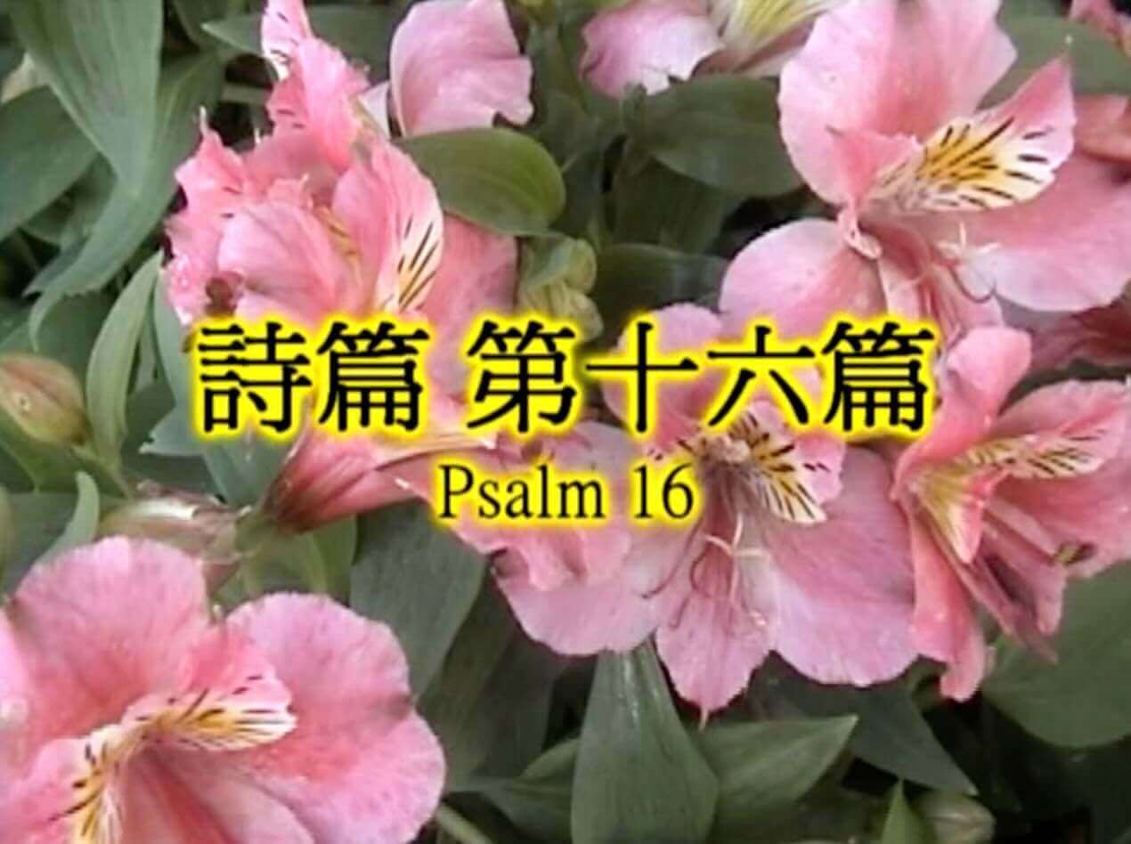 Psalm 16