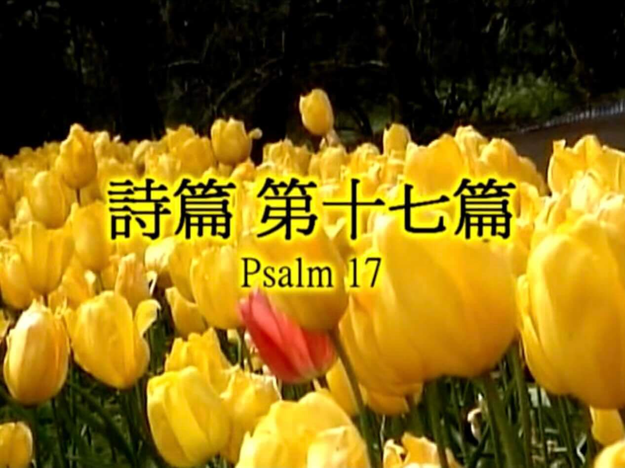 Psalm 17