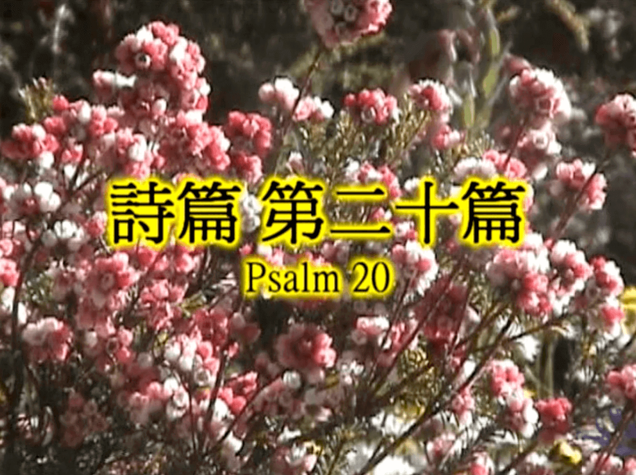 Psalm 20