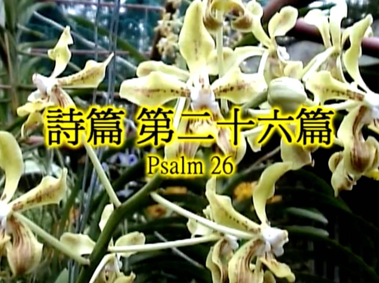 Psalm 26