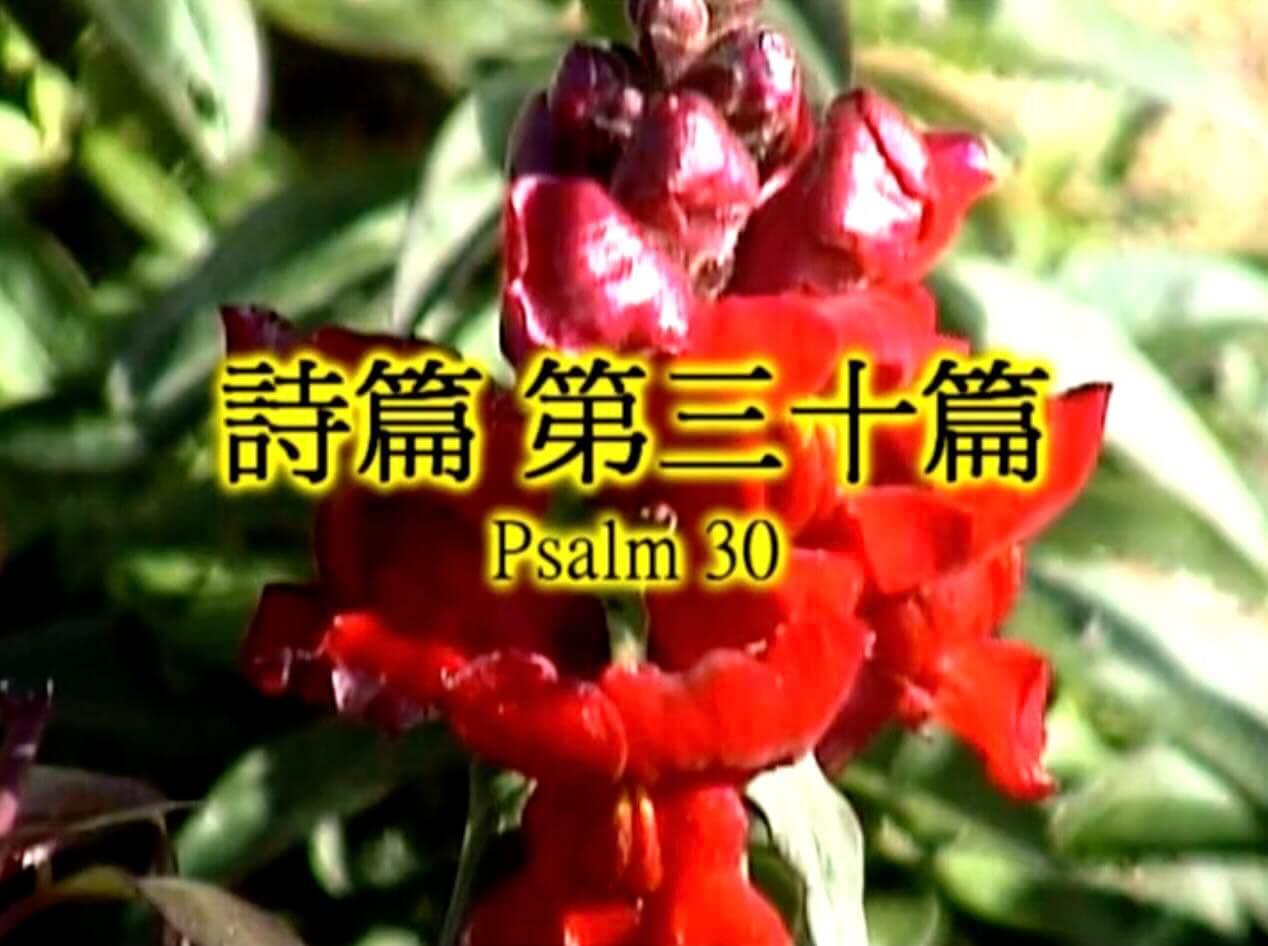Psalm 30