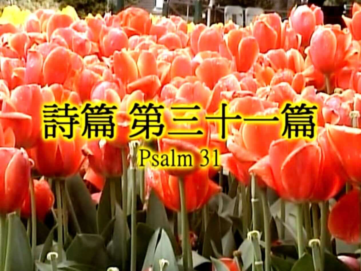 Psalm 31