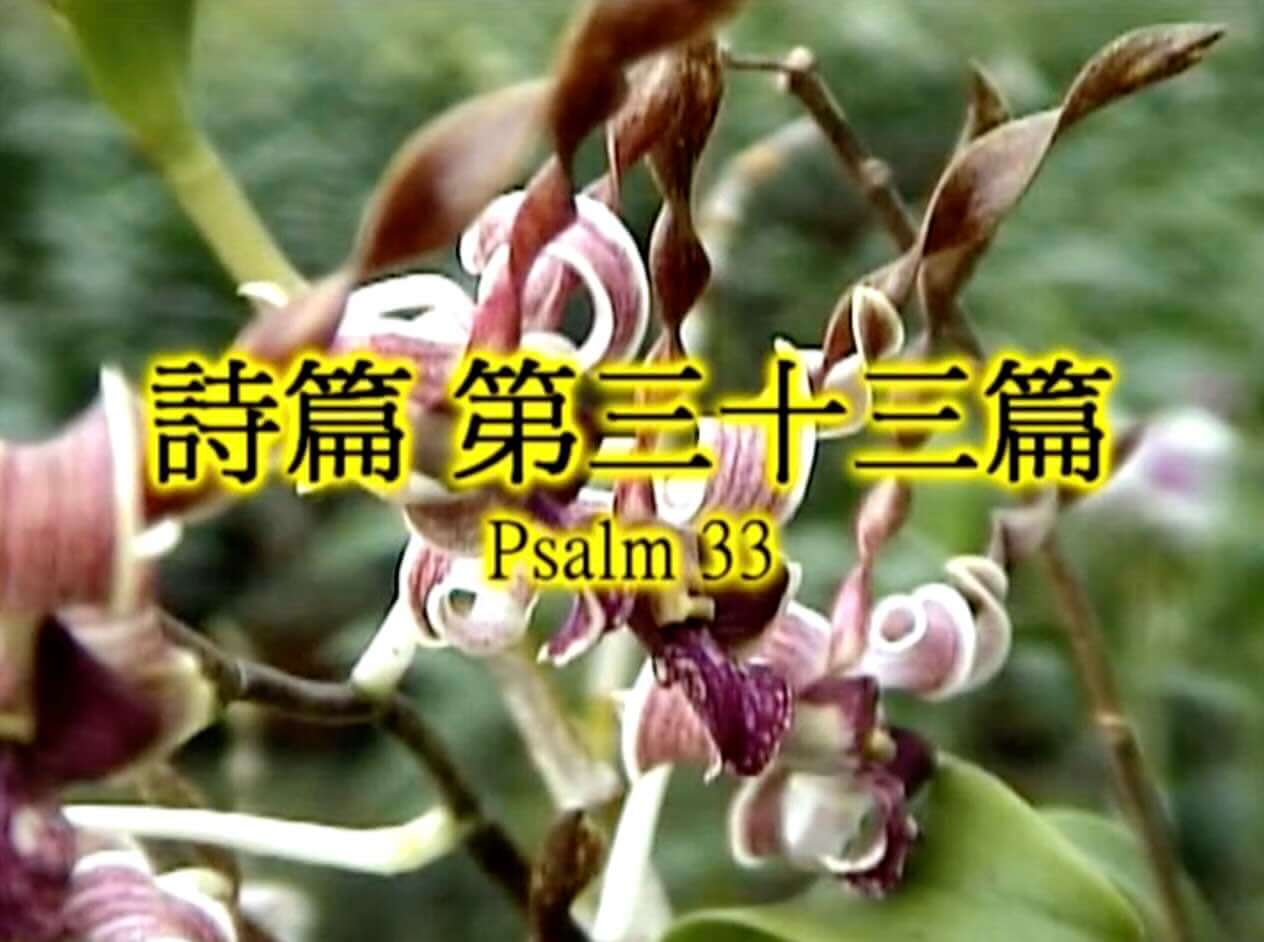 Psalm 33