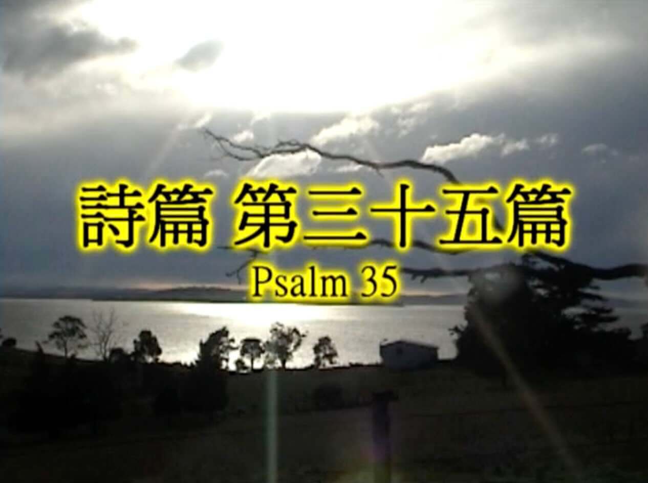 Psalm 35