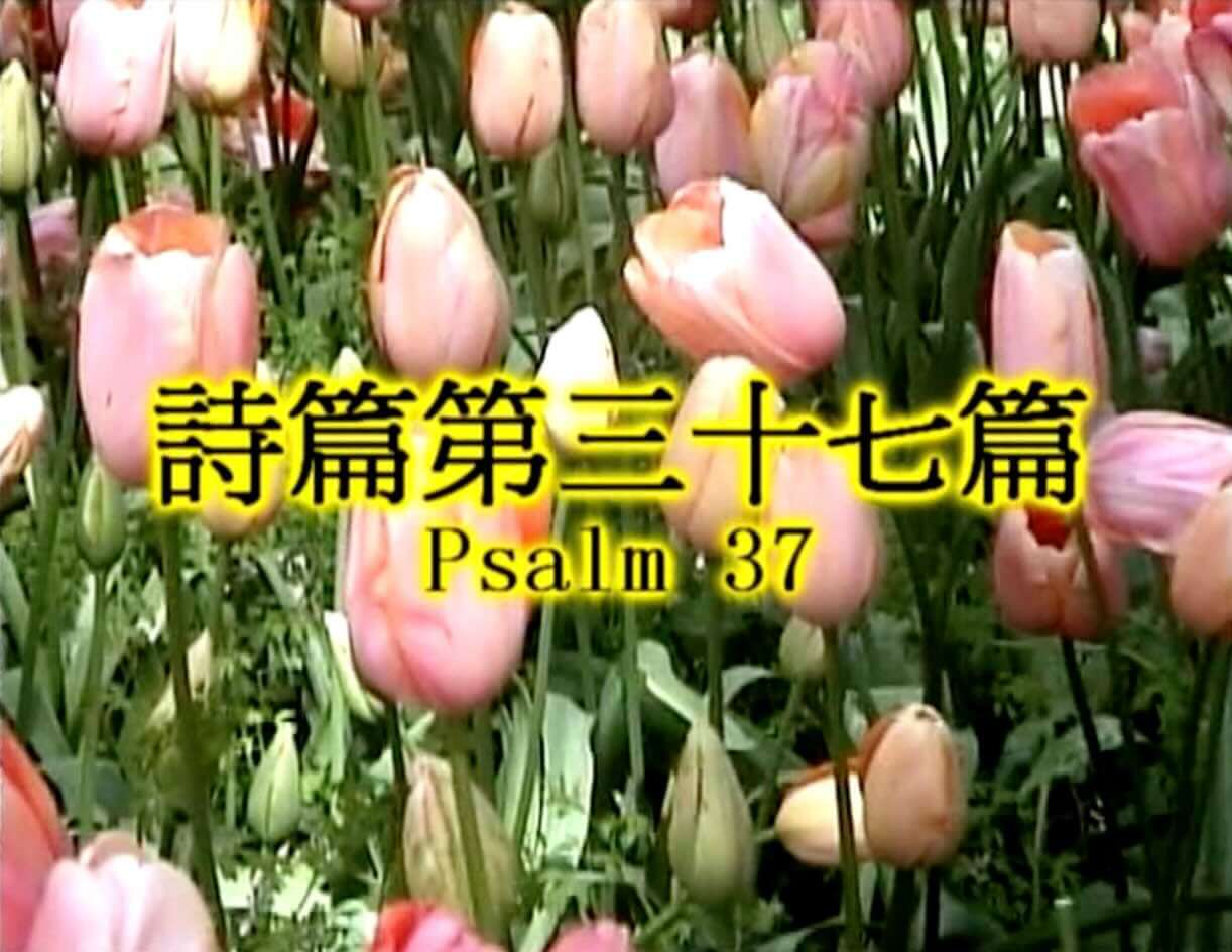 Psalm 37