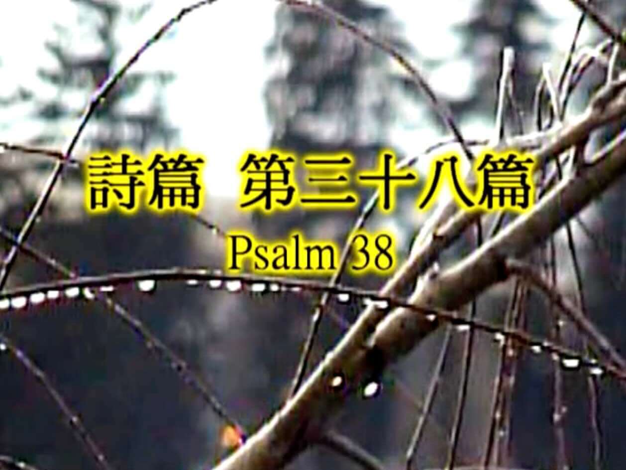 Psalm 38