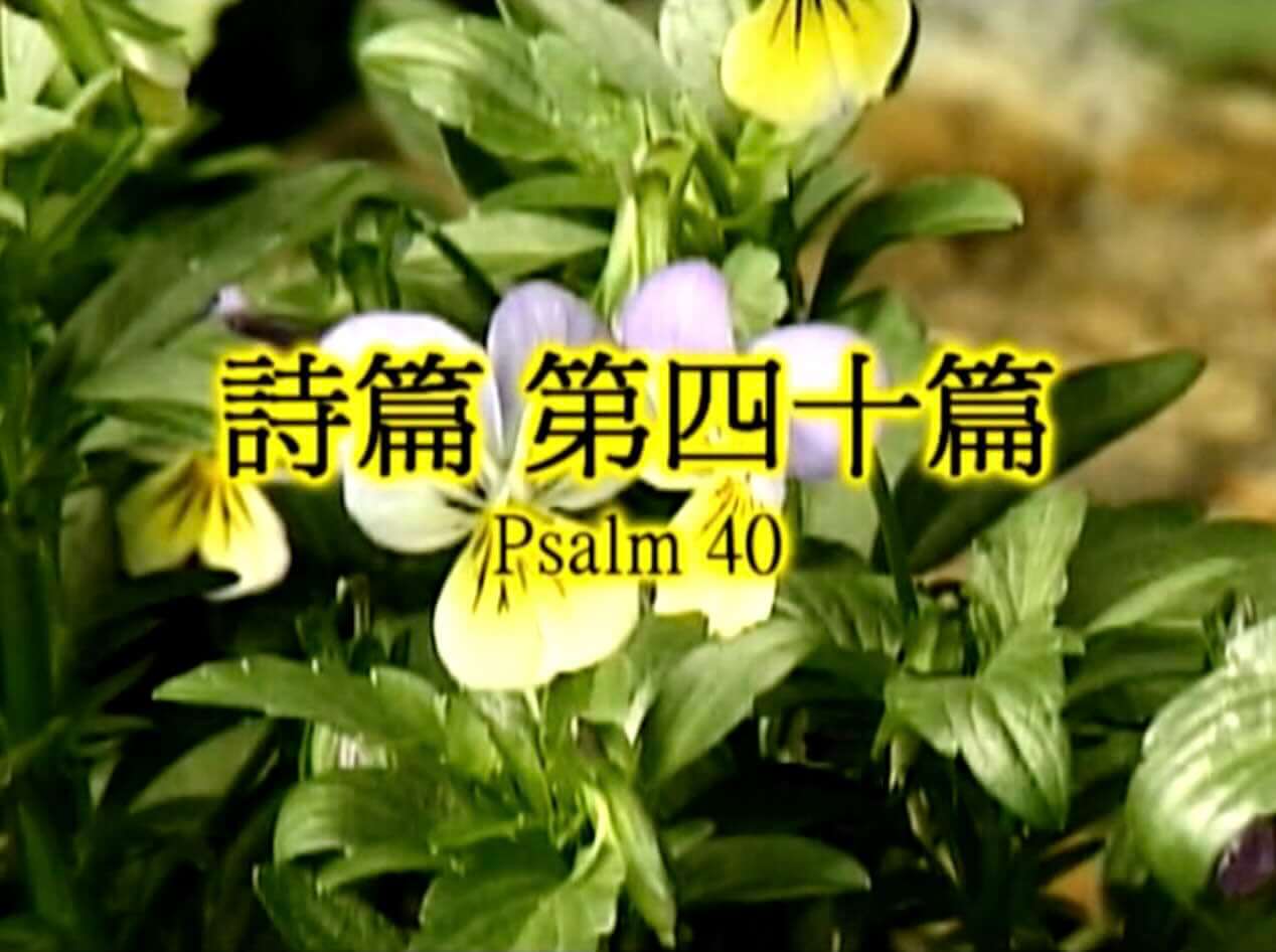 Psalm 40
