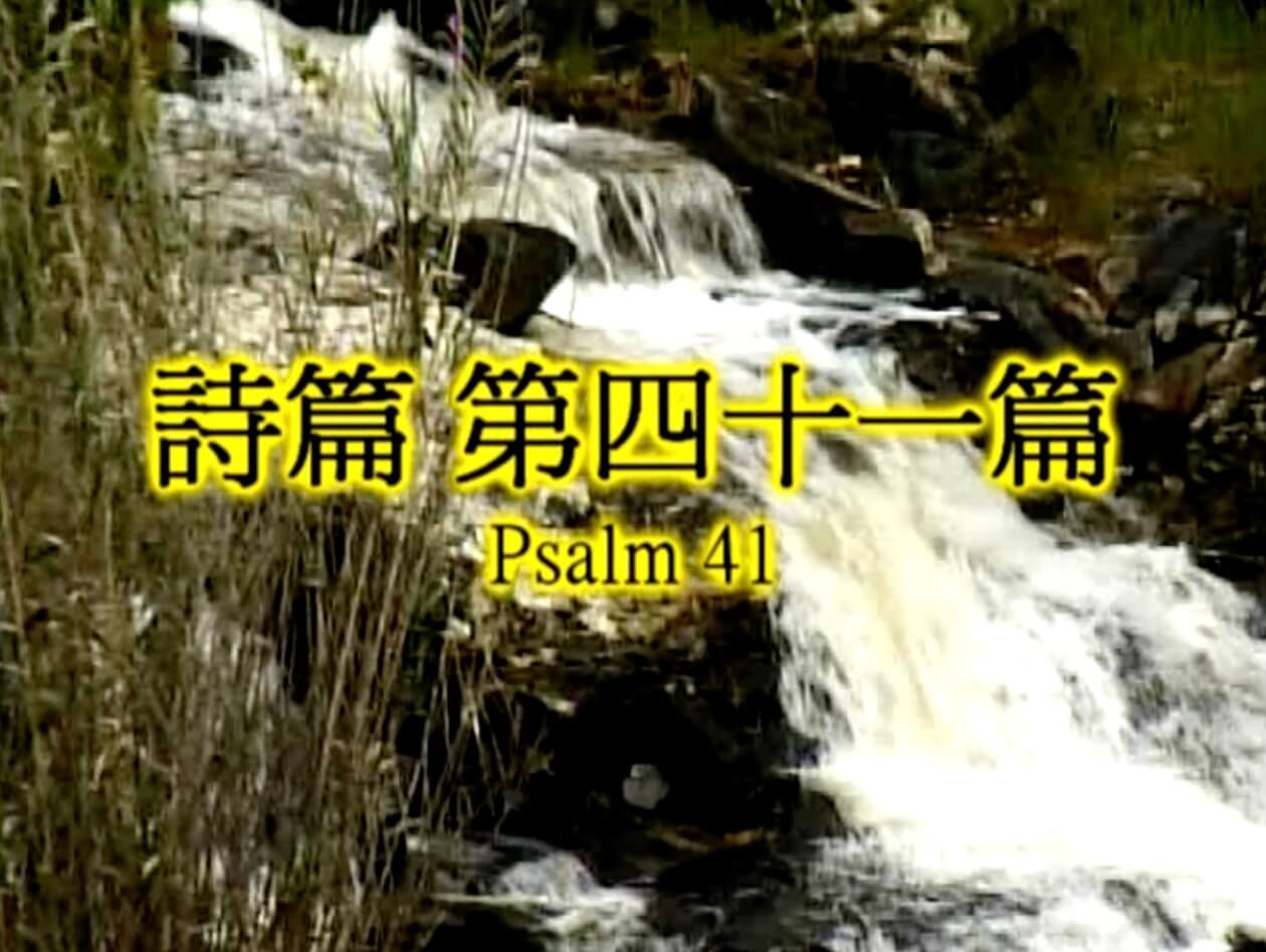 Psalm 41