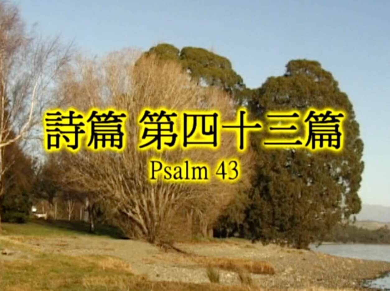 Psalm 43