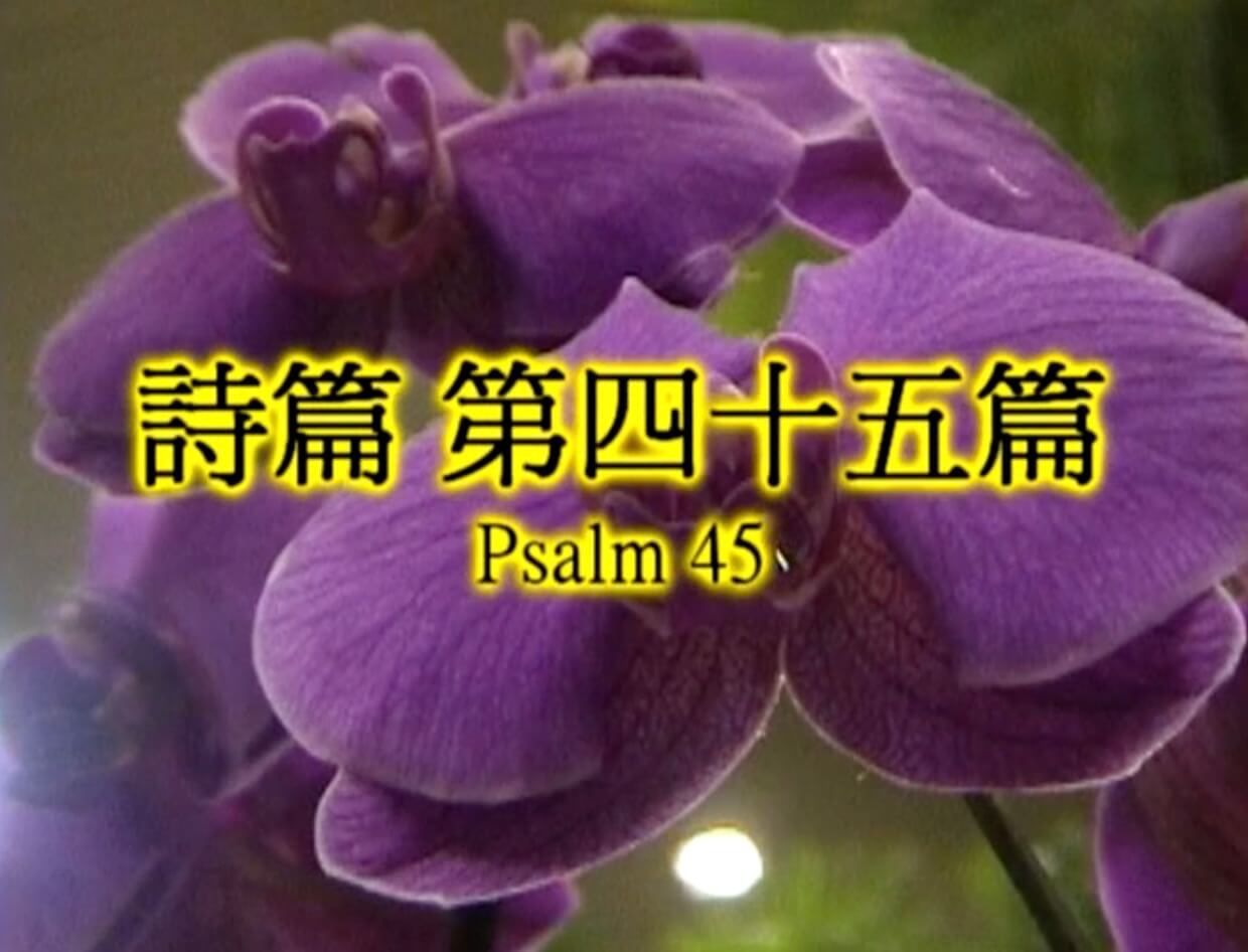 Psalm 45