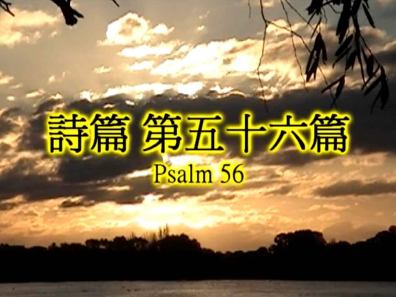 Psalm 56