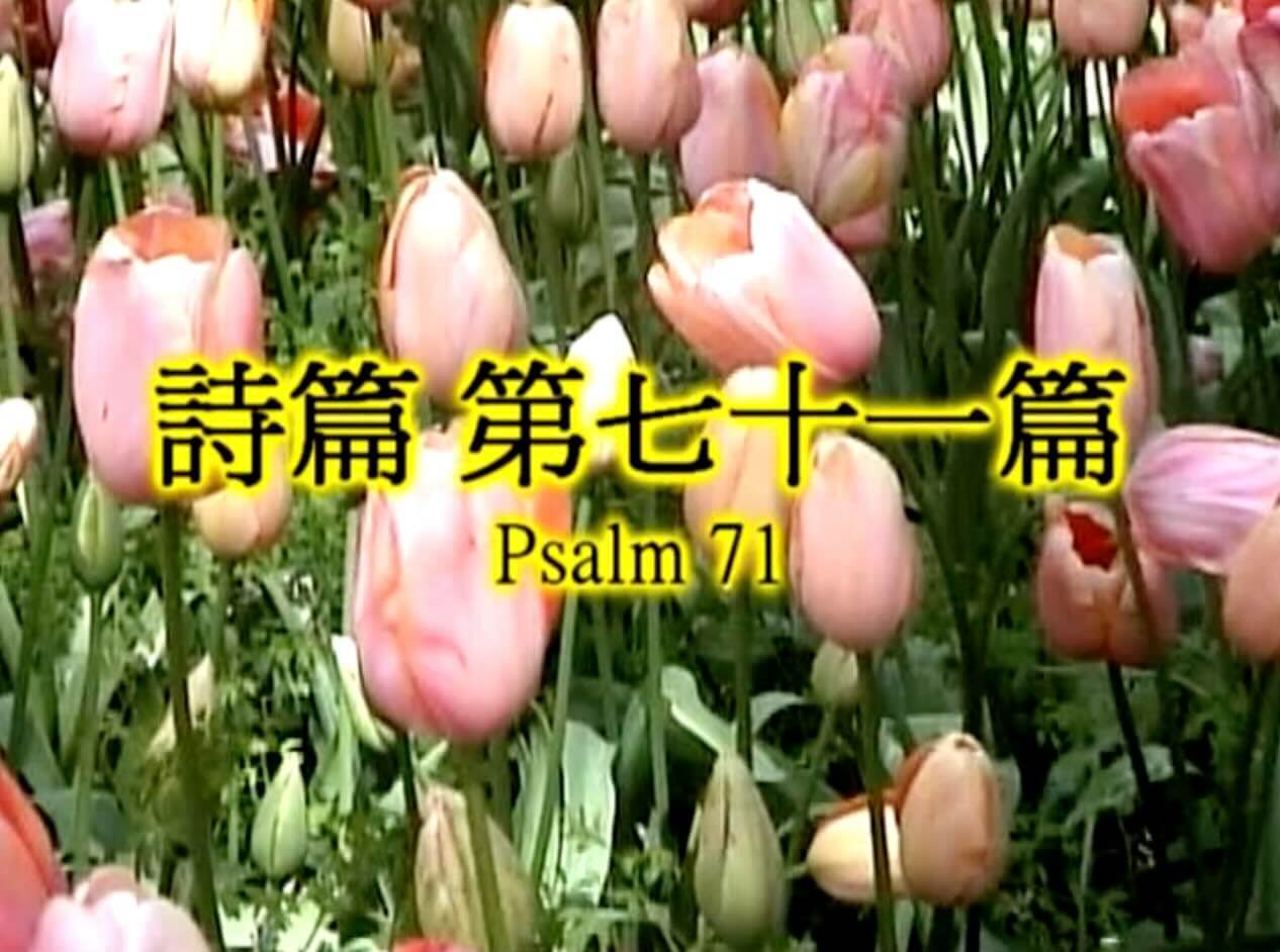 Psalm 72