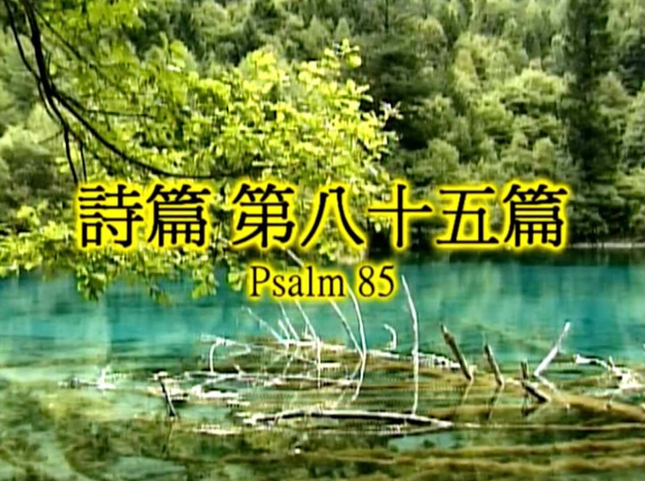 Psalm 85