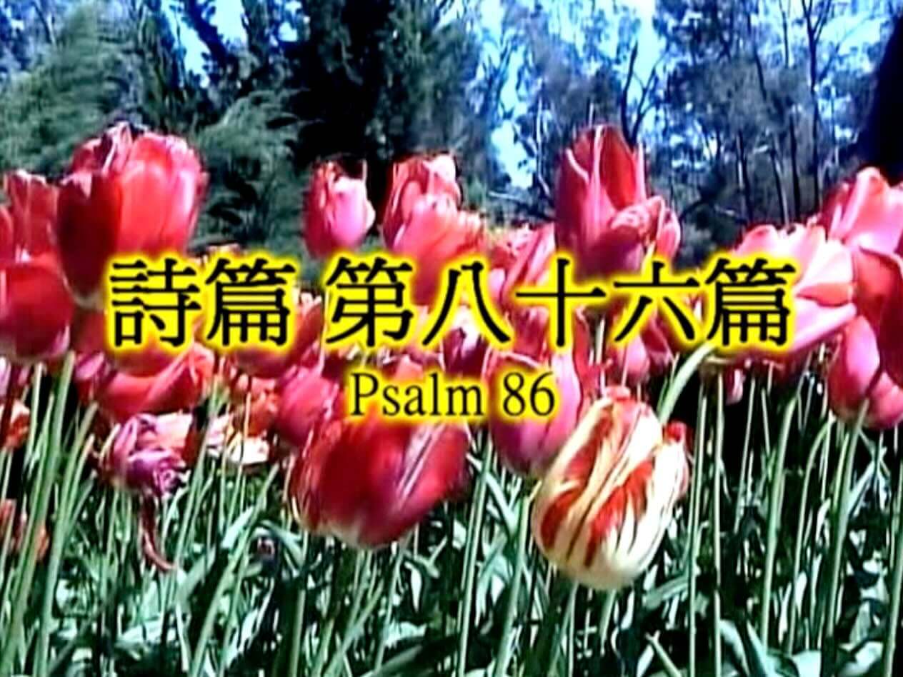 Psalm 86