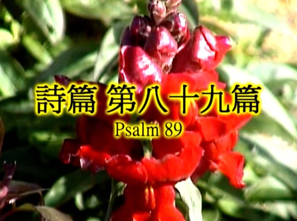 Psalm 89